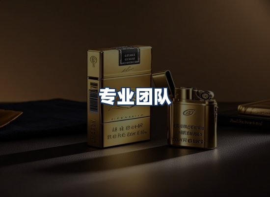 专业团队
